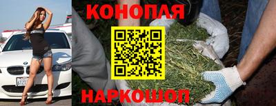 хмурый Тавда